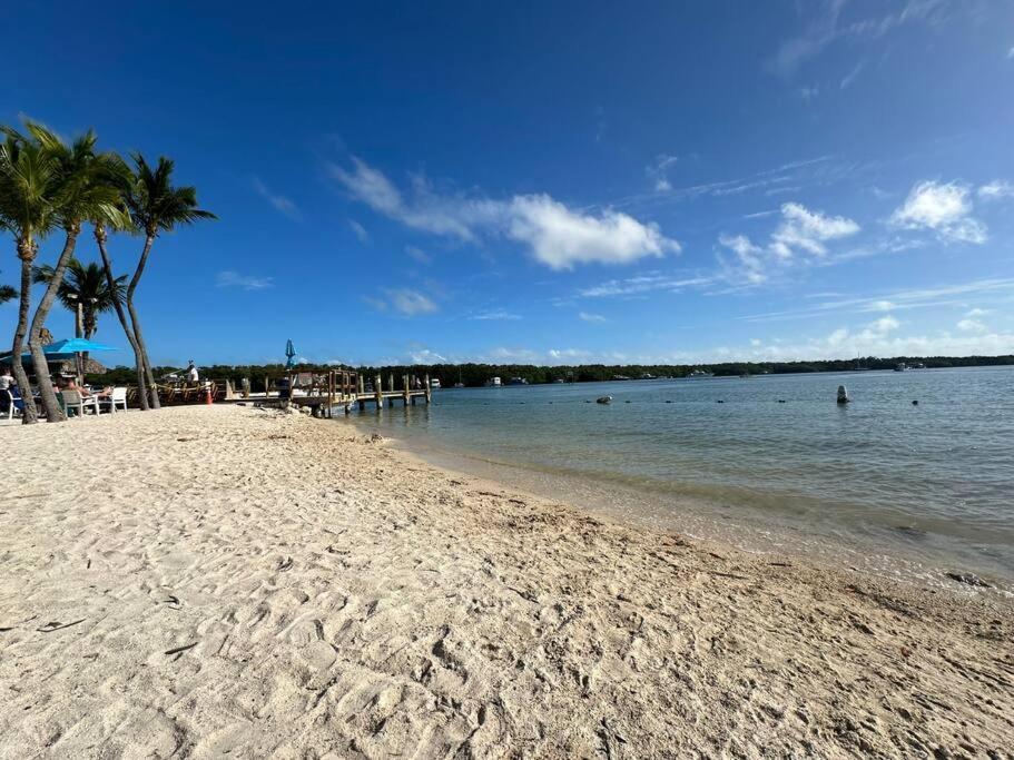 Vacay Spot Experience Luna Sky! 65" Tv Bar, Bbq, Shower Massage Jets, Music, Go To Fl Keys Homestead Eksteriør bilde
